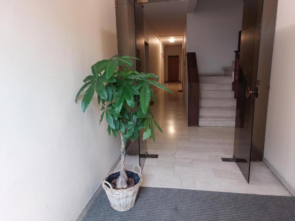 In Blu Santo Ospedale Apartment ปาโดวา ภายนอก รูปภาพ